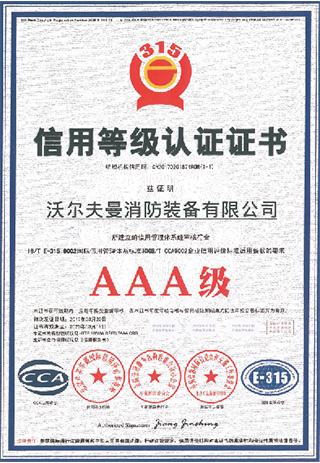 AAA-grade credit rating certificate