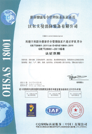 Occupational Health and Safety Management System (Chinese)